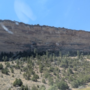 PXL_20260720_192035297.jpg